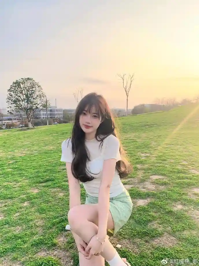 经典小说下载统计图表